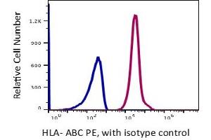 Flow Cytometry (FACS) image for anti-HLA-ABC (HLA-ABC) antibody (PE) (ABIN5067851) (HLA-ABC anticorps  (PE))