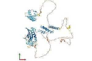 AlphaFold protein structure predicition of Mouse Recombinant Fbxo7 Protein, UniprotID Q3U7U3