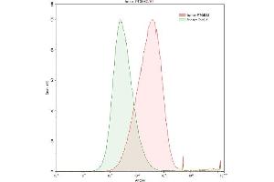 Detection of PTGES2 in HepG2 human hepatocellular carcinoma cell line using Polyclonal Antibody to Prostaglandin E Synthase 2 (PTGES2)