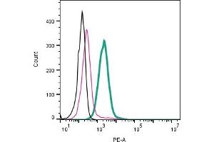 Cell surface detection of ADAM23 by indirect flow cytometry in live intact human  monocytic leukemia cell line: + goat-anti-rabbit-PE. (Adam23 anticorps  (Extracellular))