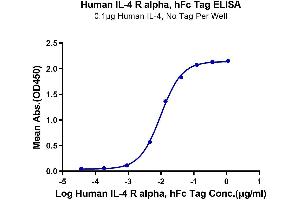 Immobilized Human IL-4, No Tag at 1 μg/mL (100 μL/well) on the plate.