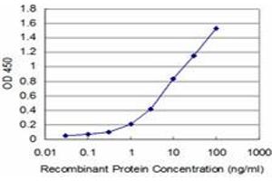 Detection limit for recombinant GST tagged EGR1 is approximately 0. (EGR1 anticorps  (AA 444-543))