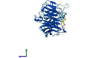 AlphaFold protein structure predicition of Human Recombinant THOC6 Protein, UniprotID Q86W42