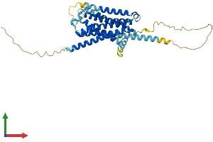 AlphaFold protein structure predicition of Mouse Recombinant Htr1d Protein, UniprotID Q61224
