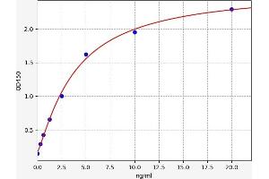 Typical standard curve (LGALS8 Kit ELISA)