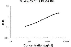 Bovine CXCL14 PicoKine ELISA Kit standard curve