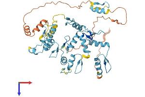 AlphaFold protein structure predicition of Human Recombinant ZNF101 Protein, UniprotID Q8IZC7