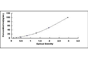 Protein Kinase C, epsilon (PRKCE) ELISA Kit