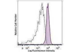 Flow Cytometry (FACS) image for anti-C-Type Lectin Domain Family 12, Member A (CLEC12A) antibody (PE-Cy7) (ABIN2659254)