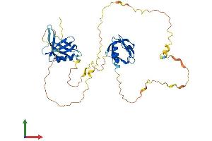 AlphaFold protein structure predicition of Human Recombinant DOK2 Protein, UniprotID O60496