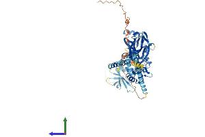 AlphaFold protein structure predicition of Mouse Recombinant Scnn1g Protein, UniprotID Q9WU39