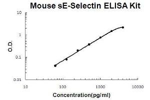 Mouse sE-Selectin PicoKine ELISA Kit standard curve (Soluble E-Selectin Kit ELISA)