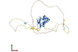 AlphaFold protein structure predicition of Mouse Recombinant Tob1 Protein, UniprotID Q61471