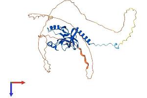 AlphaFold protein structure predicition of Human Recombinant KMT5A Protein, UniprotID Q9NQR1