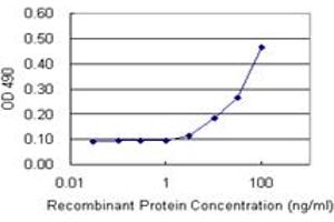 Sandwich ELISA detection sensitivity ranging from 3 ng/mL to 100 ng/mL. (IFI16 (Humain) Matched Antibody Pair)