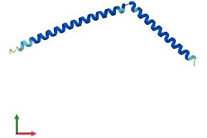 AlphaFold protein structure predicition of Mouse Recombinant Syce3 Protein, UniprotID B5KM66