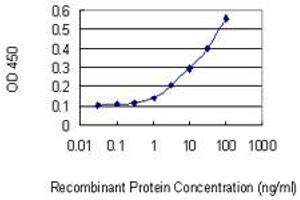 Detection limit for recombinant GST tagged PPP1R2P3 is 0. (PPP1R2P3 anticorps  (AA 1-205))