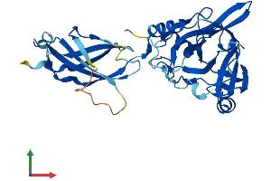 AlphaFold protein structure predicition of Mouse Recombinant Phyhip Protein, UniprotID Q8K0S0