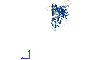 AlphaFold protein structure predicition of Mouse Recombinant Cog5 Protein, UniprotID Q8C0L8