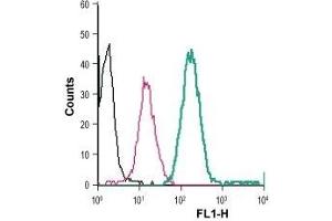 Cell surface detection of BAI1 in live intact human THP-1 monocytic leukemia cells: (black line) Cells.