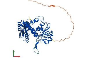 AlphaFold protein structure predicition of Mouse Recombinant Mthfd2l Protein, UniprotID D3YZG8