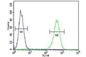 AMACR antibody flow cytometric analysis of MDA-MB231 cells (green) compared to a negative control (blue).