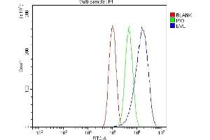 Flow Cytometry analysis of PC-3 cells using anti-EVL antibody (ABIN7600986). (EVL anticorps  (AA 268-400))