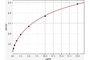 Typical standard curve (LTBR Kit ELISA)