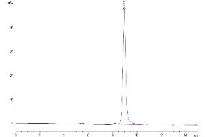 Size-exclusion chromatography-High Pressure Liquid Chromatography (SEC-HPLC) image for Tumor Necrosis Factor (Ligand) Superfamily, Member 10 (TNFSF10) (AA 114-281) protein (ABIN7275774)