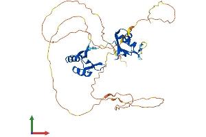AlphaFold protein structure predicition of Mouse Recombinant Rbms2 Protein, UniprotID Q8VC70