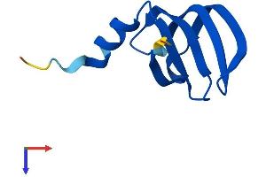 AlphaFold protein structure predicition of Human Recombinant LSM6 Protein, UniprotID P62312