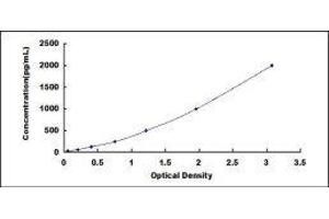 Chitinase 3-Like 1 (Cartilage Glycoprotein-39) (CHI3L1) ELISA Kit