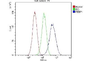 Flow Cytometry analysis of HepG2 cells using anti-PBP antibody (ABIN5693043).