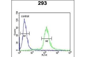 EPS8L3 Antibody (N-term) (ABIN390898 and ABIN2841105) flow cytometric analysis of 293 cells (right histogram) compared to a negative control cell (left histogram).