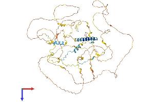 AlphaFold protein structure predicition of Mouse Recombinant Gtse1 Protein, UniprotID Q8R080