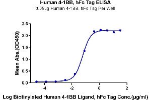Immobilized Human 4-1BB, hFc Tag at 0.