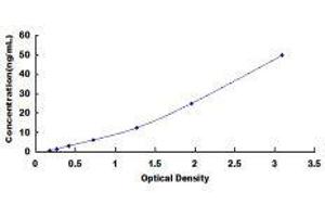 Melanoma Inhibitory Activity (MIA) ELISA Kit