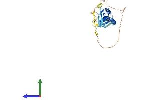 AlphaFold protein structure predicition of Human Recombinant CD72 Protein, UniprotID P21854