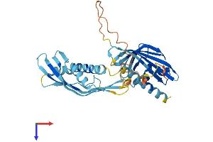 AlphaFold protein structure predicition of Mouse Recombinant Ahsa2 Protein, UniprotID Q8N9S3