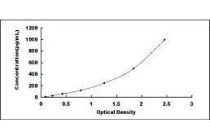 ELISA image for Prolactin (PRL) ELISA Kit (ABIN415874)