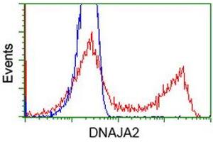 Image no. 1 for anti-DnaJ (Hsp40) Homolog, Subfamily A, Member 2 (DNAJA2) antibody (ABIN1497859) (DNAJA2 anticorps)
