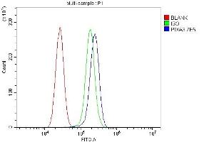 Flow Cytometry analysis of U87 cells using anti-ERp57 antibody (ABIN7602778). (PDIA3 anticorps  (C-Term))