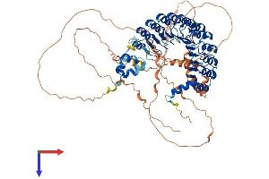 AlphaFold protein structure predicition of Mouse Recombinant Fbxl17 Protein, UniprotID Q9QZN1