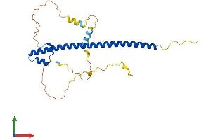 AlphaFold protein structure predicition of Mouse Recombinant Nrl Protein, UniprotID P54846