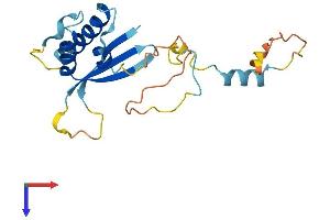 AlphaFold protein structure predicition of Human Recombinant SNX22 Protein, UniprotID Q96L94