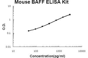 Mouse BAFF Accusignal ELISA Kit Mouse BAFF AccuSignal ELISA Kit standard curve. (BAFF Kit ELISA)