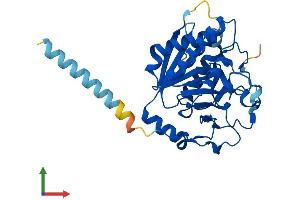 AlphaFold protein structure predicition of Mouse Recombinant Glt6d1 Protein, UniprotID Q2NKH9