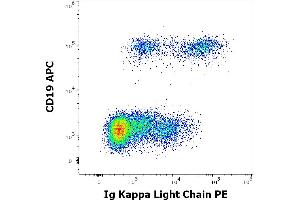 Flow cytometry multicolor surface staining of human lymphocytes stained using anti-human Ig Kappa Light Chain (TB28-2) PE antibody (10 μL reagent / 100 μL of peripheral whole blood) and anti-human CD19 (LT19) APC antibody (10 μL reagent / 100 μL of peripheral whole blood). (kappa Light Chain anticorps  (PE))