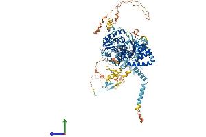 AlphaFold protein structure predicition of Mouse Recombinant Ddx54 Protein, UniprotID Q8K4L0