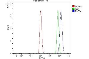 Flow Cytometry analysis of HEL cells using anti-RNF34 antibody (ABIN7602457).
